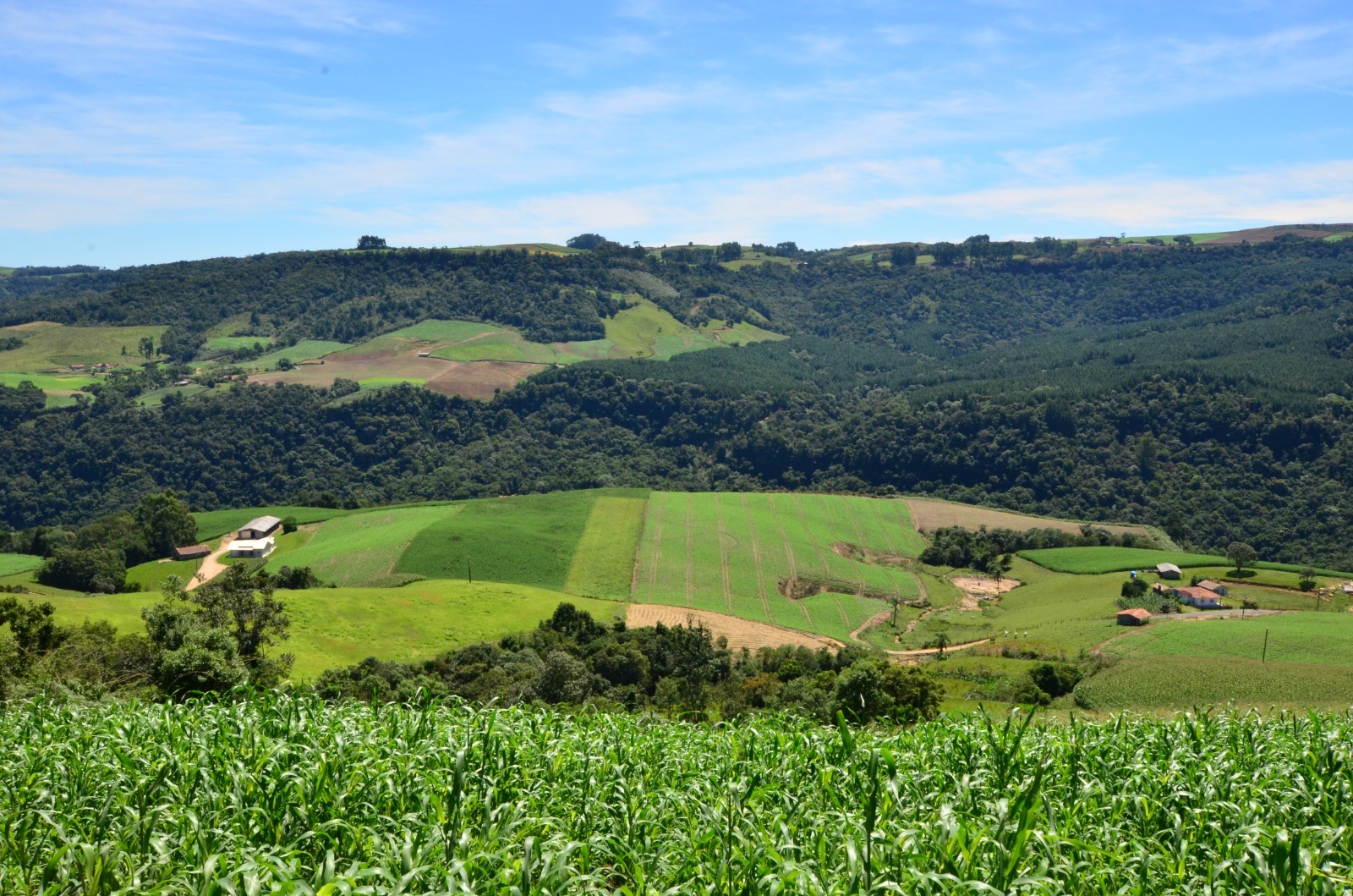 Fapesc lança edital de R$ 3 milhões para fomentar a conectividade no meio rural catarinense
