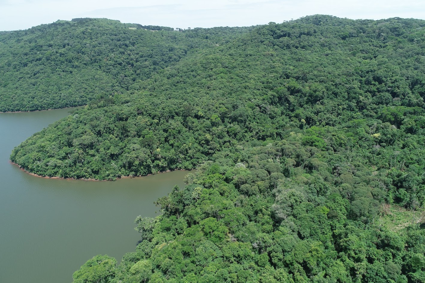 Fapesc anuncia edital suplementar de R$ 900 mil para pesquisas ecológicas de longo prazo em Santa Catarina