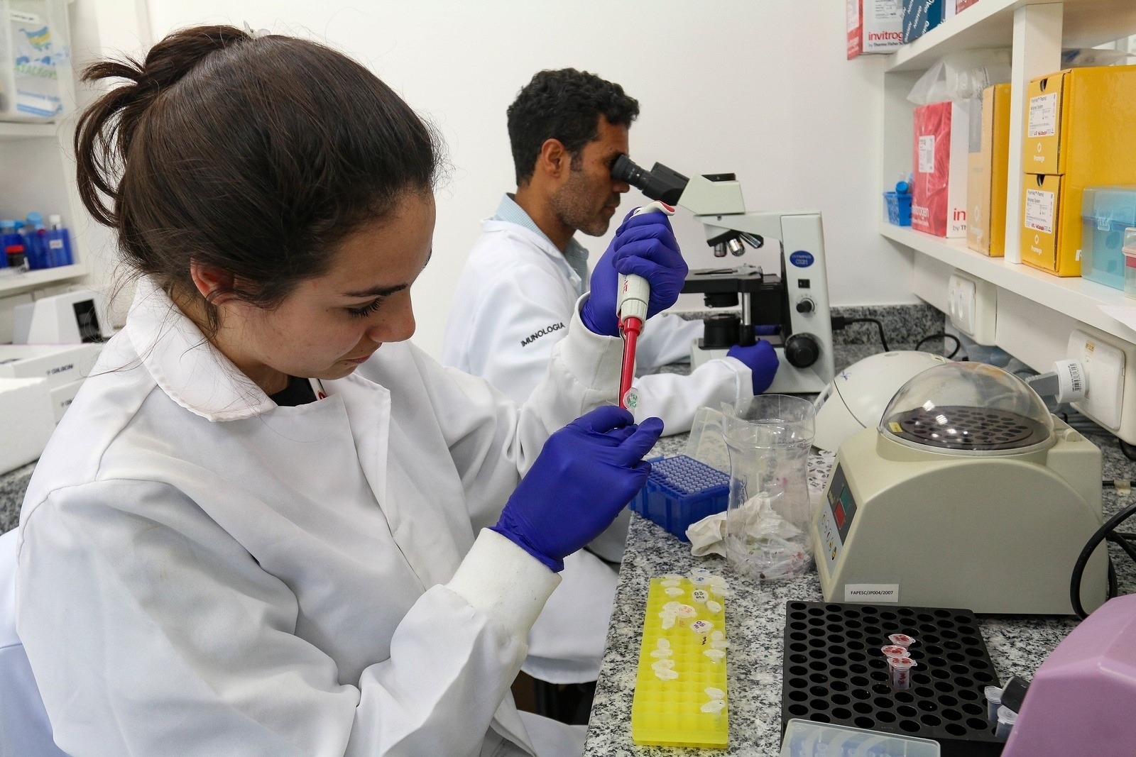 Talentos catarinenses ganham oportunidade de atuação internacional com novo edital da União Europeia