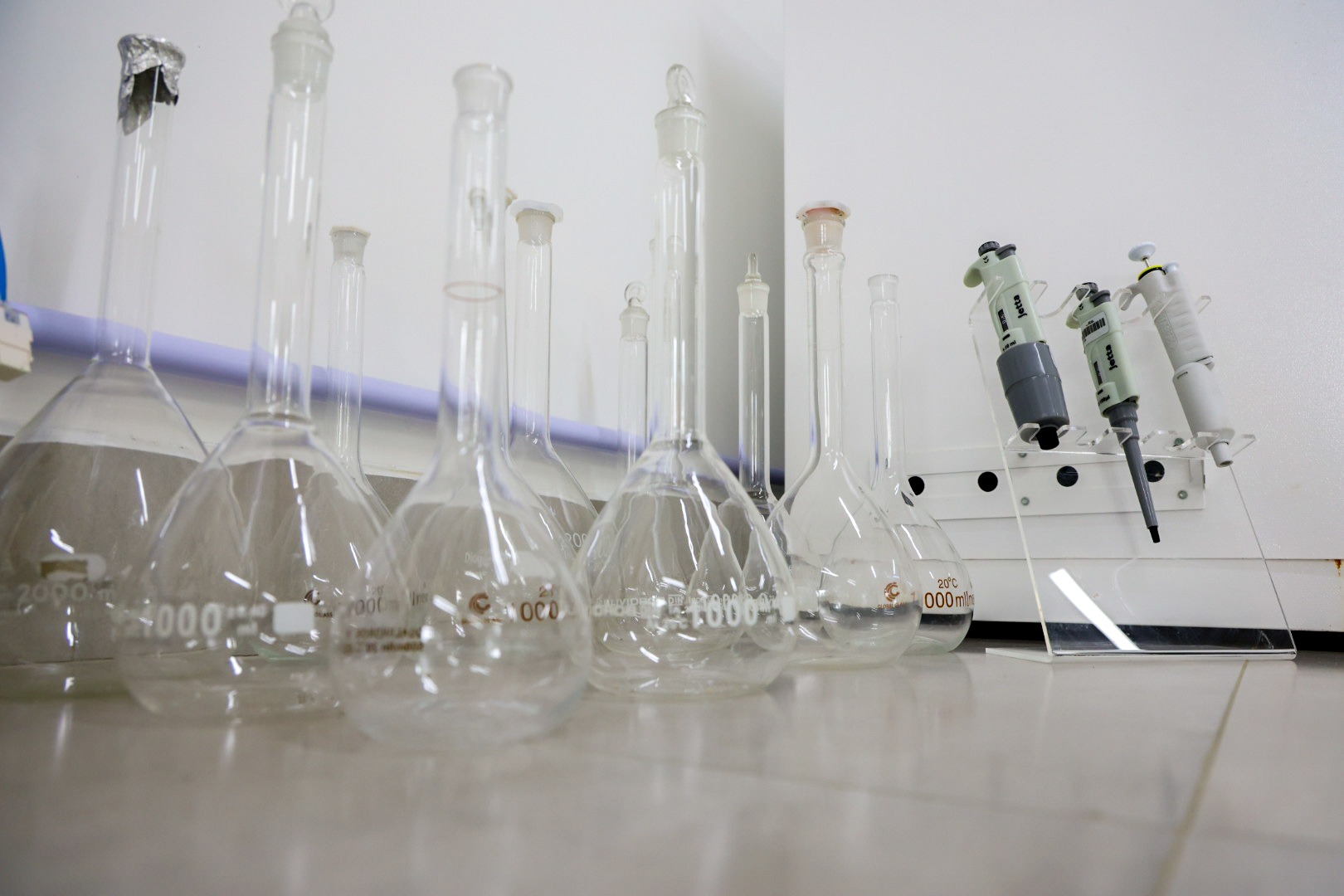 Fapesc lança edital suplementar com até R$400 mil para projetos da chamada Biodivtransform