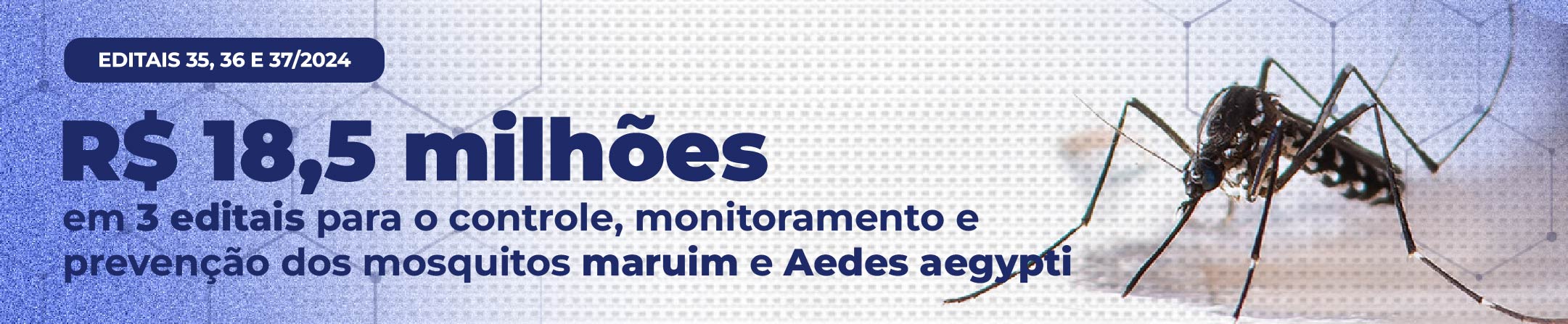 Editais 35, 36 e 37/2024 – R$ 12 milhões em 3 editais para o controle sustentável dos mosquitos maruim e Aedes aegypti